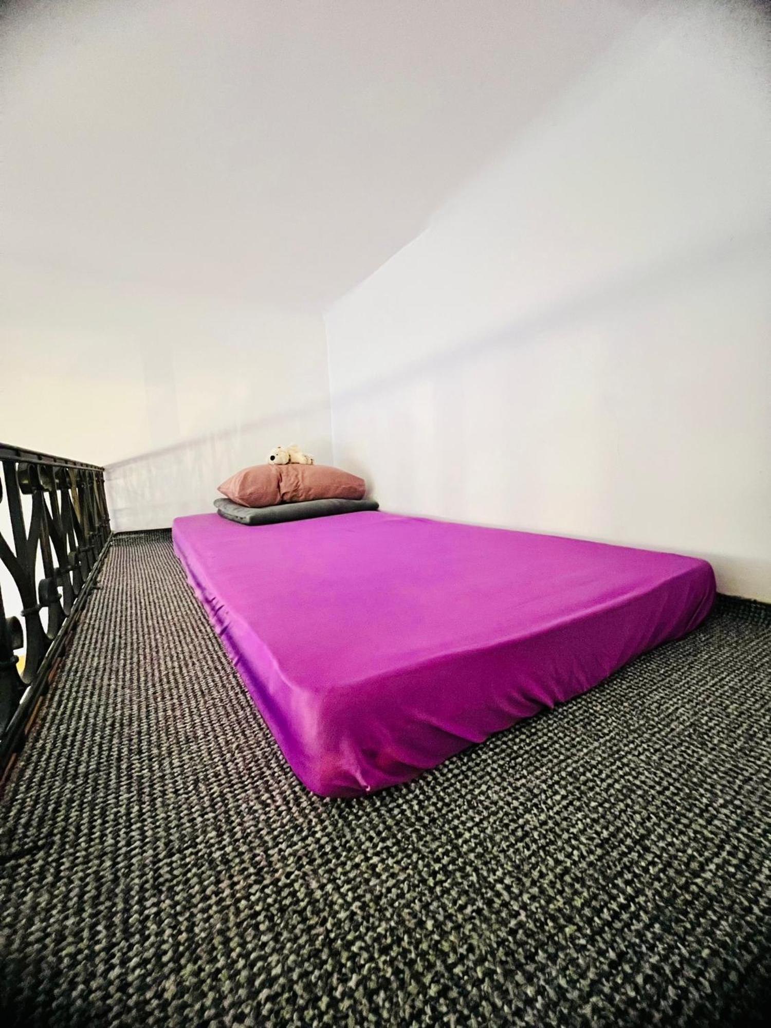 Elizabeth Brasov Appartement Buitenkant foto
