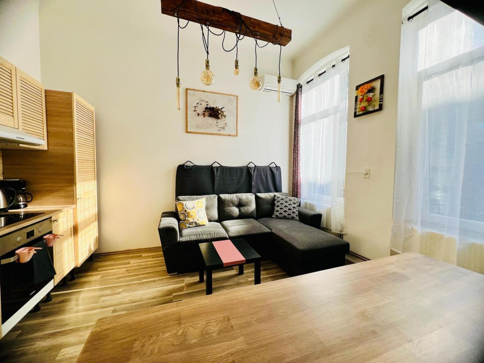 Elizabeth Brasov Appartement Buitenkant foto